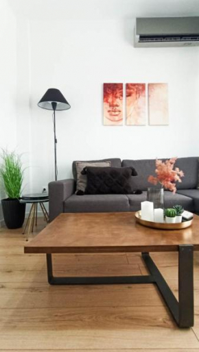 DOWN TOWN Luxurious Apartments 3